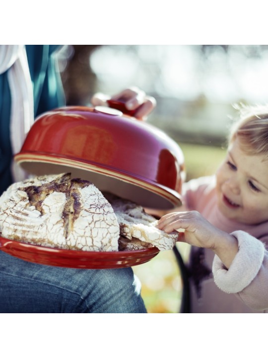 Maizes cepšanas forma