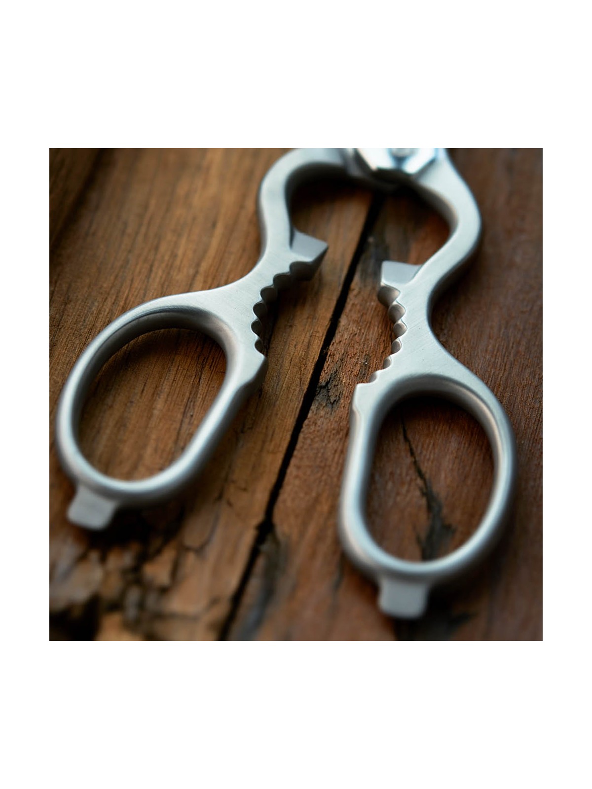 Zwilling Multi-Purpose Shears, Satin-Finish