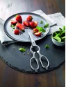 Zwilling Multi-Purpose Shears, Satin-Finish