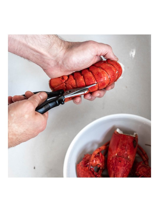 de Buyer Seafood Shears