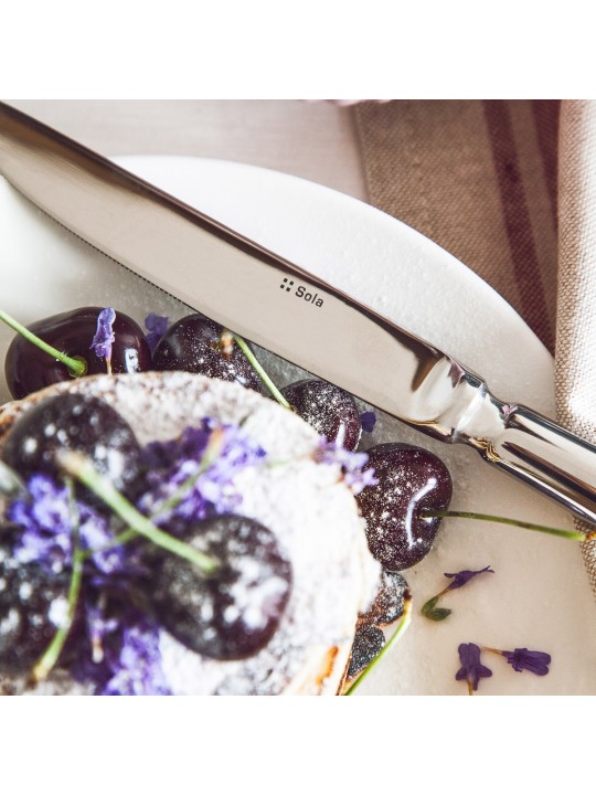 Sola stalo įrankiai Baguette Gastro 24 dalių, blizgūs