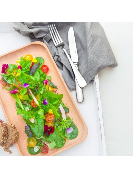 Sola Baguette Castro Cutlery Set 24 Pieces, Mirror