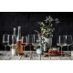 Zwiesel Glas  Fruity & Delicate vīna glāze Vivid Senses 535 ml/1 gb