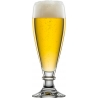 Schott Zwiesel Pils glass Brussels - 0.3 l/1 Pcs