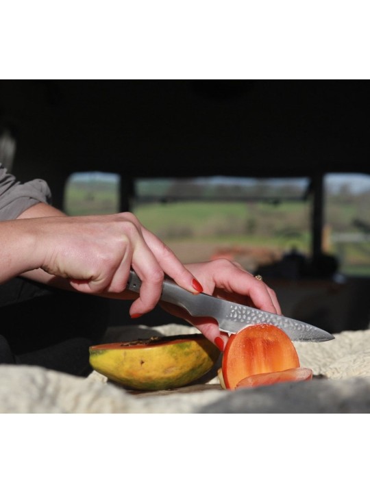 Global Sai Paring Knife 10cm