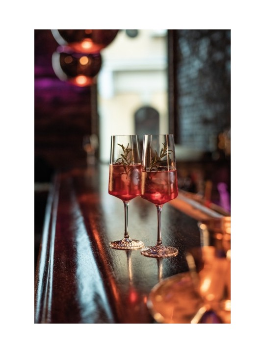 Zwiesel Glass Echo champagne glass