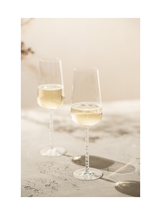 Zwiesel Glas бокал для шипучего вина Journey