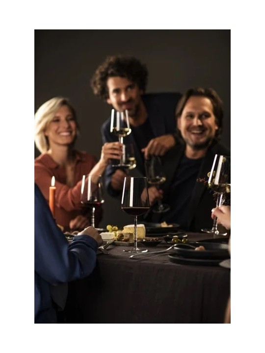 Zwiesel Glas Allround wine glass Journey