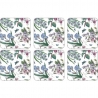 Pimpernel klaasialus Botanic Garden Chintz 6 tk