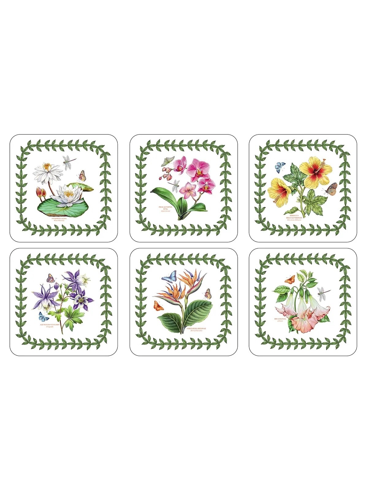 Pimpernel Exotic Botanic Garden Set of 6 Coasters