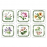 Pimpernel glāžu paliktņi Exotic Botanic Garden 6 gb