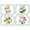 Pimpernel paliktņi Exotic Botanic Garden 4 gb