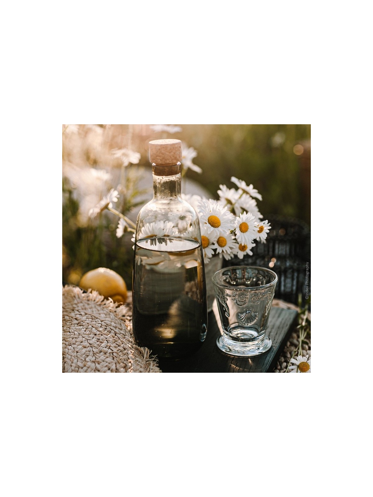 La Rochére šotiņš Versailles