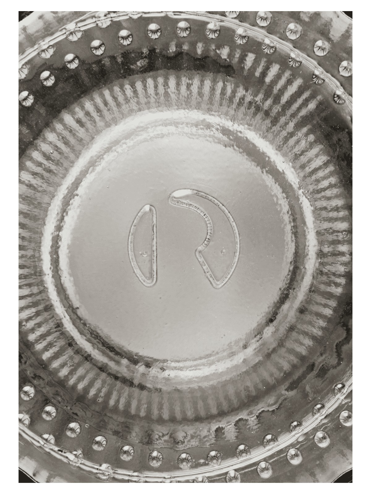 Rosendahl Grand Cru Grinder Grey/Smoke