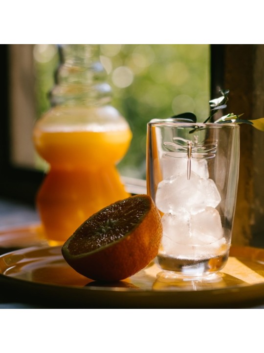 La Rochére long drink klaas Dragon Fly