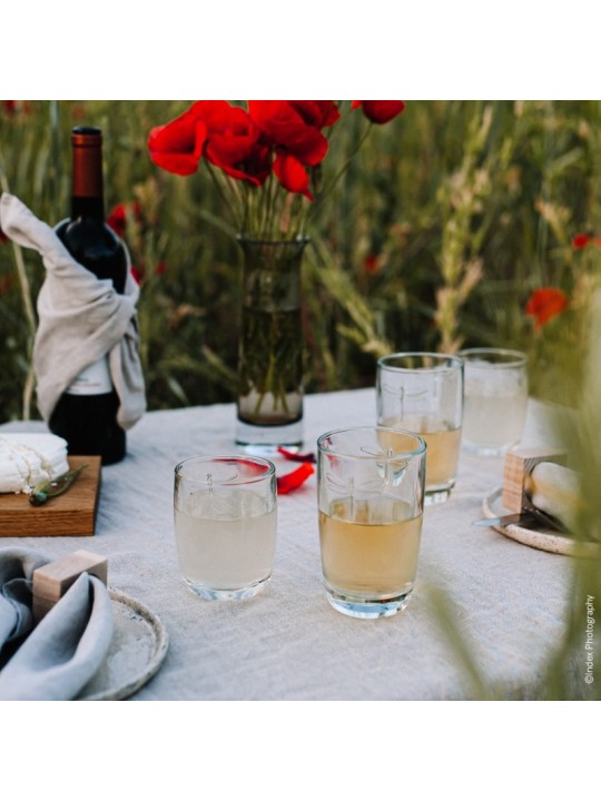 La Rochére long drink glāze Dragon Fly