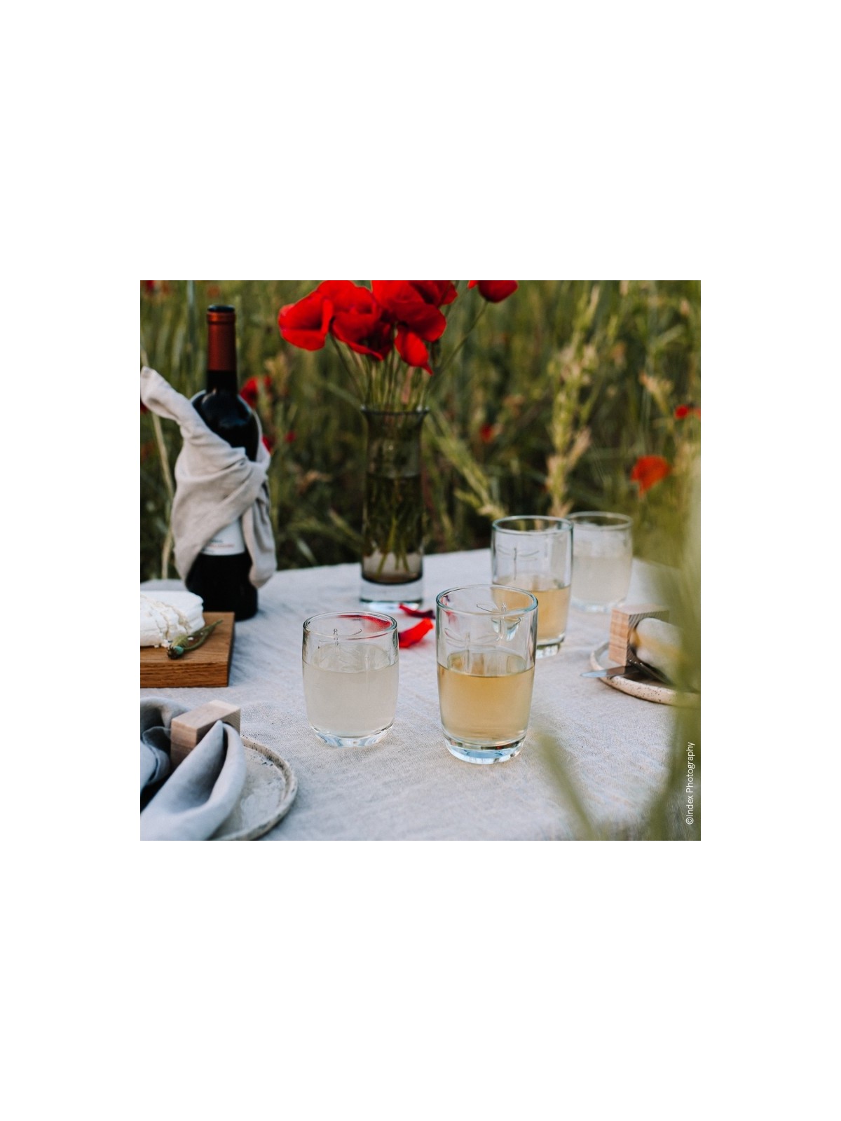 La Rochére Dragon Fly Long drink Glass