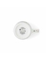 Royal Worcester Wrendale kruus Hedgehog Awakening 0,31 l