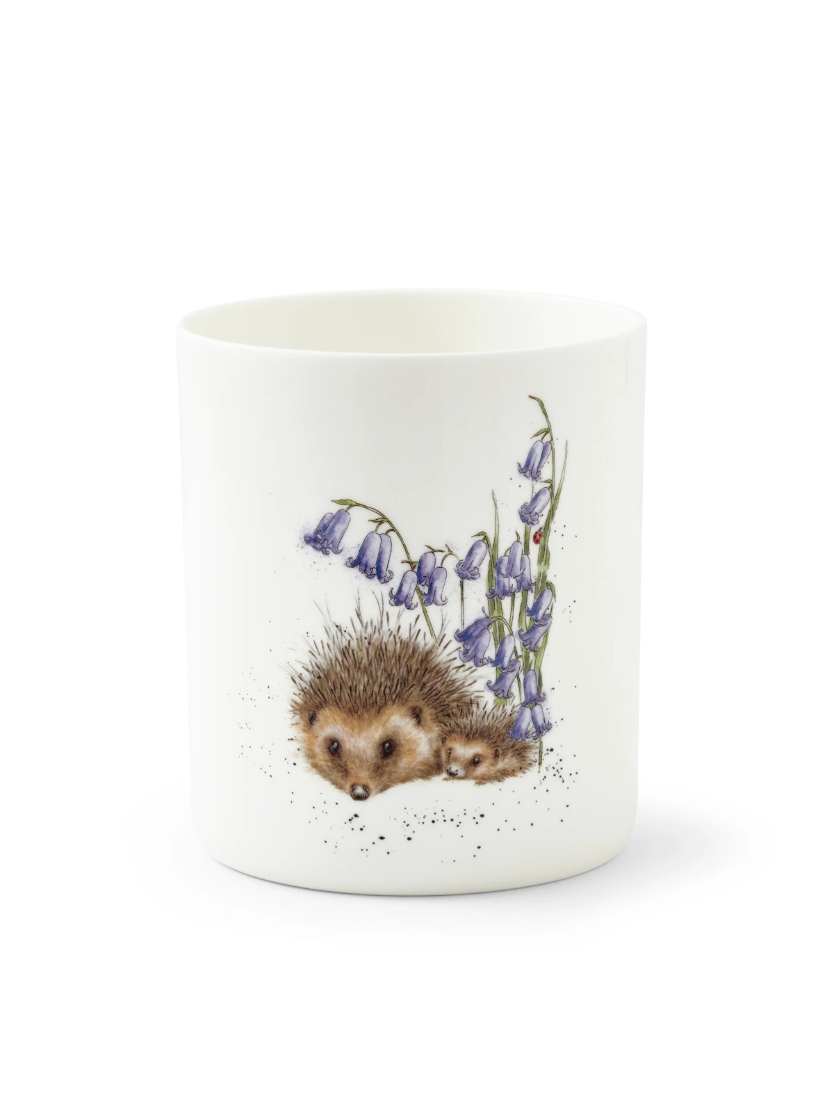 Royal Worcester Wrendale Designs köögiriistade purk Hedgehog