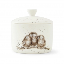 Royal Worcester Wrendale Designs säilituspurk väike (Owl)
