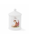 Royal Worcester Wrendale Designs teepurk Fox