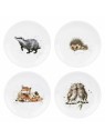 Royal Worcester Wrendale Designs taldrik Owl