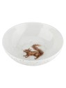 Royal Worcester Wrendale Designs Squirrel Bowl