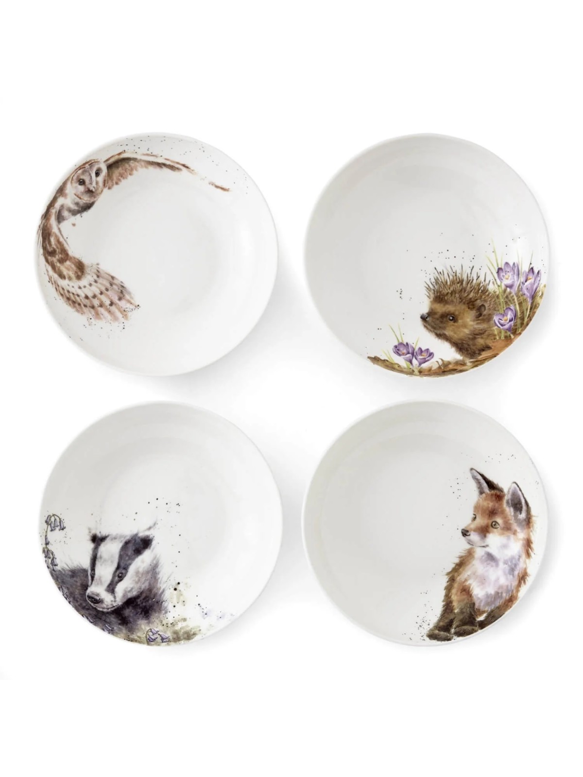 Royal Worcester Wrendale Designs Owl Pasta Bowl