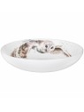 Royal Worcester Wrendale Designs pastakauss Owl