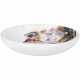 Royal Worcester Wrendale Designs Fox Pasta Bowl