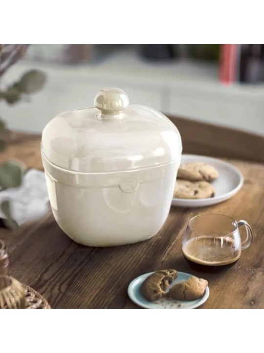 Emile Henry  Cookie Jar