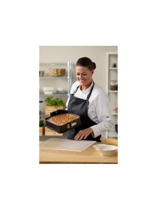 Blomsterbergs jahutusrest, roostevaba