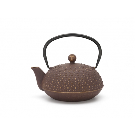 Bredemeijer Teapot Anhui, cast iron