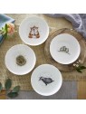Royal Worcester Wrendale Designs Bowl Owl