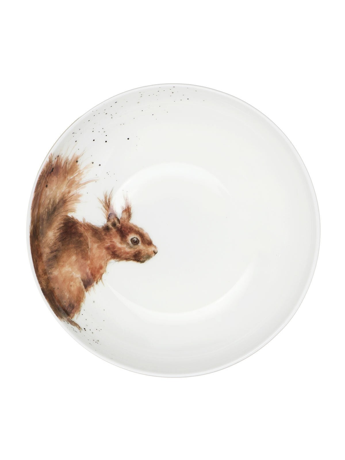 Royal Worcester Wrendale Designs pastakauss Squirrel