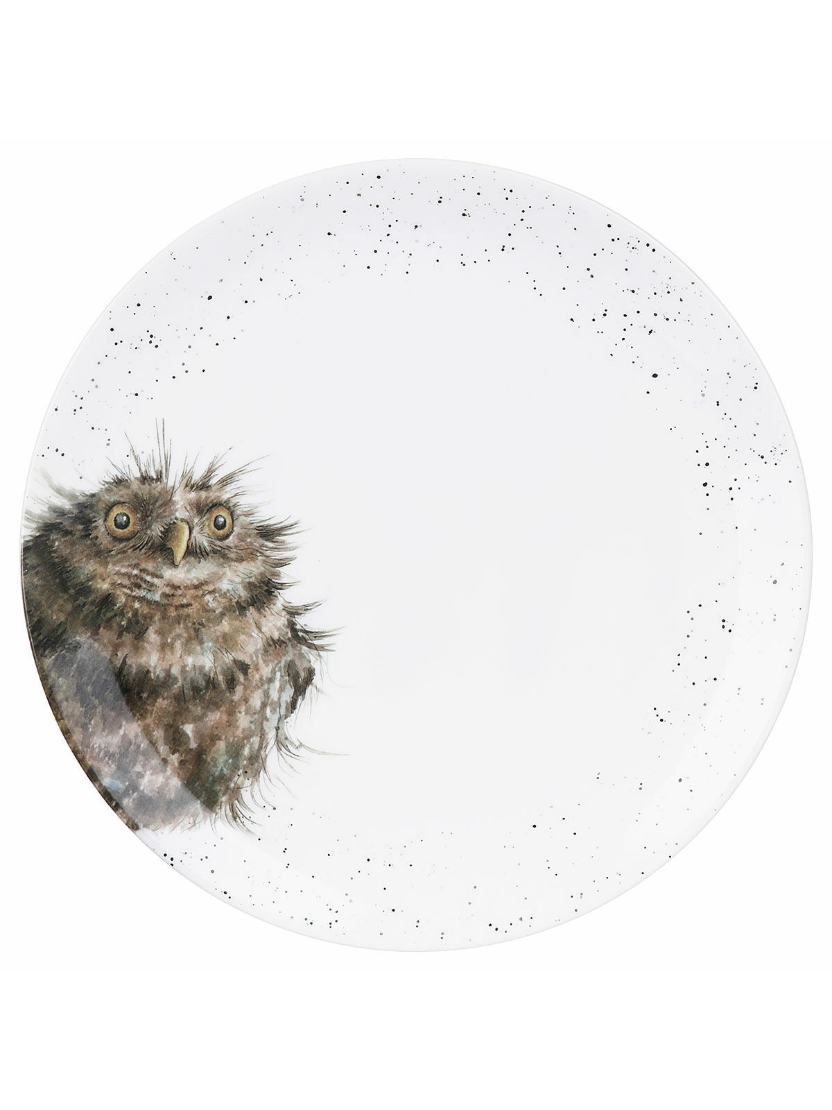 Royal Worcester Wrendale Designs taldrik 26,7 cm, Owl