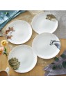 Royal Worcester Wrendale Designs Coupe Plate 26,7 cm, Owl