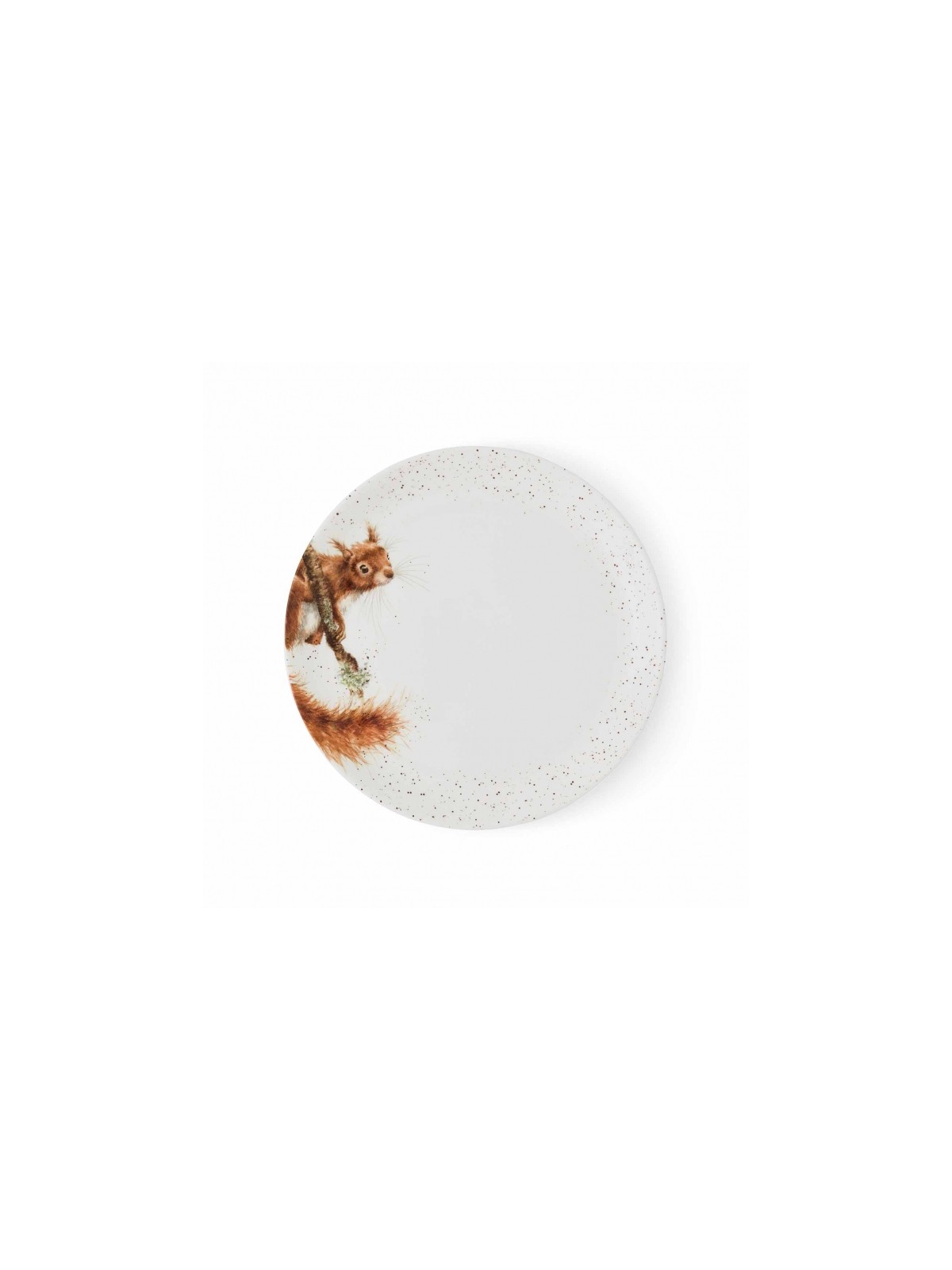 Royal Worcester Wrendale Designs Coupe Plate 26,7 cm, Squirrel