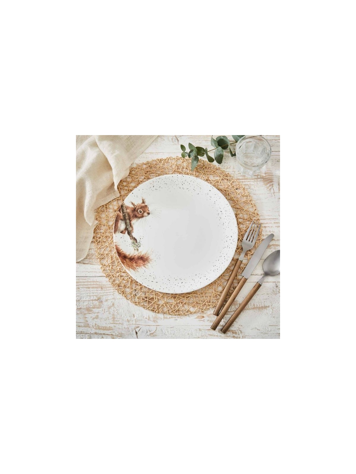 Royal Worcester Wrendale Designs Coupe Plate 26,7 cm, Squirrel