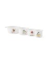 Royal Worcester Wrendale Designs mõõdunõud Birds 4 tk