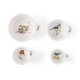 Royal Worcester Wrendale Designs mõõdunõud Birds 4 tk