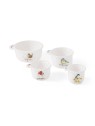 Royal Worcester Wrendale Designs mõõdunõud Birds 4 tk