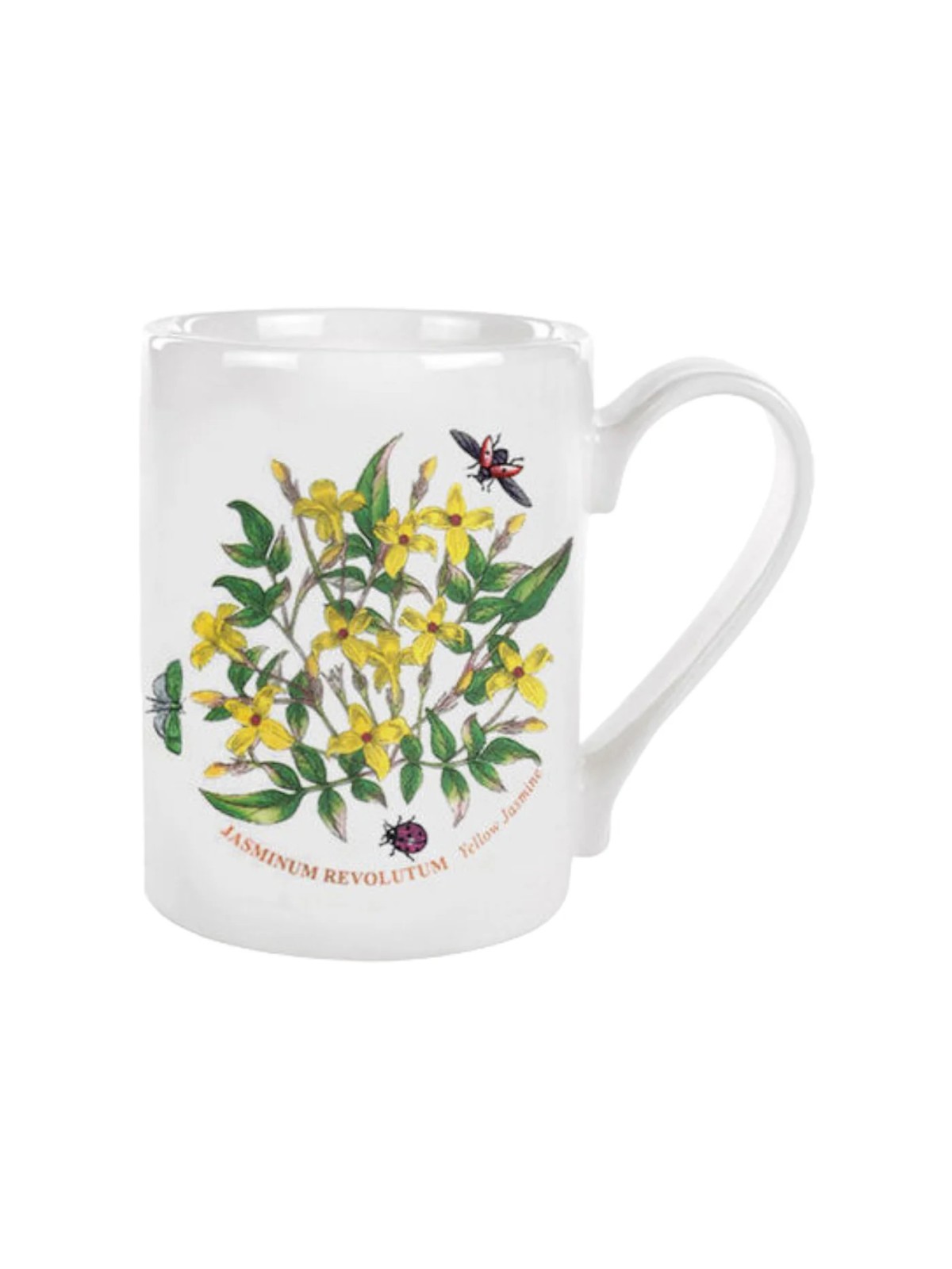 Portmeirion kruus Botanic Garden Yellow Jasmine 0,28 l