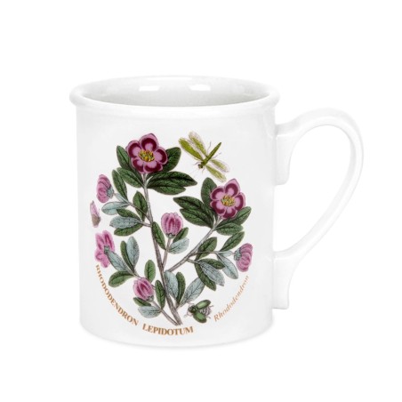 Portmeirion Botanic Garden Breakfast Mug Rhododendron