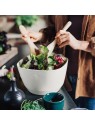 Emile Henry Salad Bowl - S