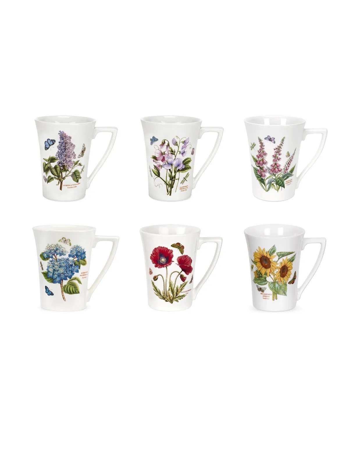 Portmeirion Botanic Garden Foxglove Mandarin Mug