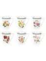 Portmeirion Botanic Roses Mandarin Mug
