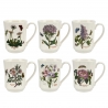 Portmeirion kruus Botanic Garden, 0,39 l, Flared Tankard, erinevad pildid