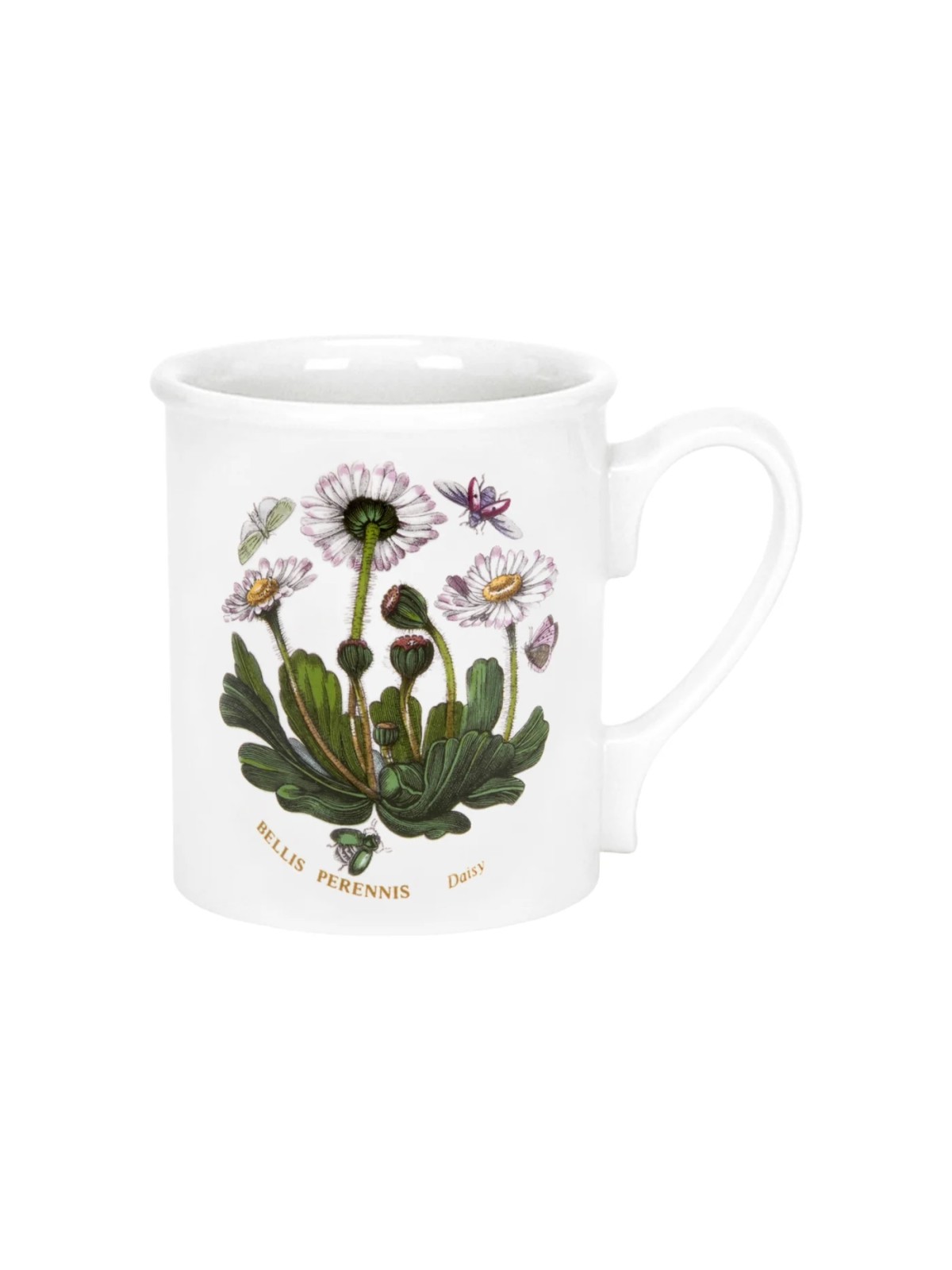 Portmeirion Botanic Garden Breakfast Mug Daisy