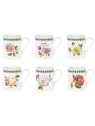 Portmeirion Botanic Roses Breakfast Mug 